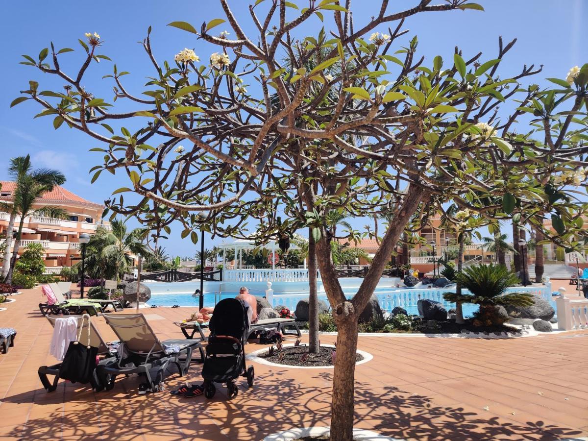 Seafront Royal Garden Mile Apartment ปลายาเดลาสอเมริกาส ภายนอก รูปภาพ